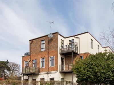 Picture 9